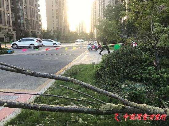記者準(zhǔn)備離開時,發(fā)現(xiàn)保安在事故現(xiàn)場再拉了一道警戒線。