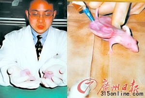 中國(guó)工程院候選院士研究人耳鼠被質(zhì)疑學(xué)術(shù)造假