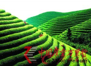 r(ji)؈44f(wn)һ W(wng)|(zh)䡰X믂ˡ