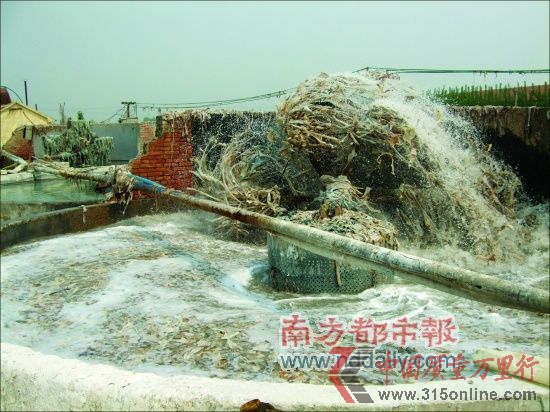 翻轉(zhuǎn)的洗皮機正在池中刷洗皮料。 翻轉(zhuǎn)的洗皮機正在池中刷洗皮料。