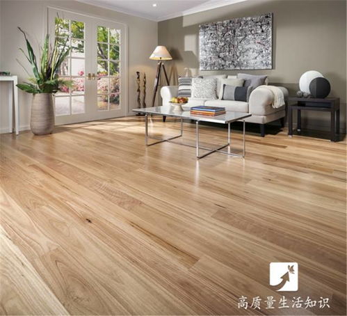木地板、瓷磚還是塑膠地板？選對(duì)不后悔，家裝必看指南