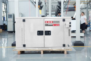 工廠(chǎng)直銷(xiāo)15千瓦柴油發(fā)電機(jī) 穩(wěn)定動(dòng)力的可靠選擇